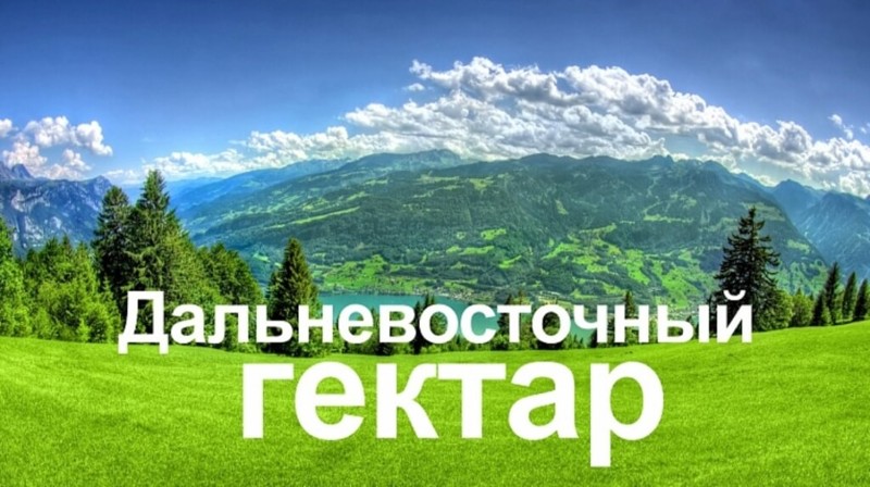 35. Программа «Дальневосточный гектар» набирает обороты