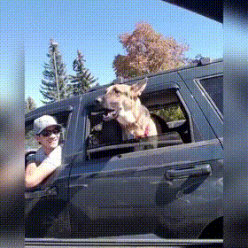 Встретились два друга