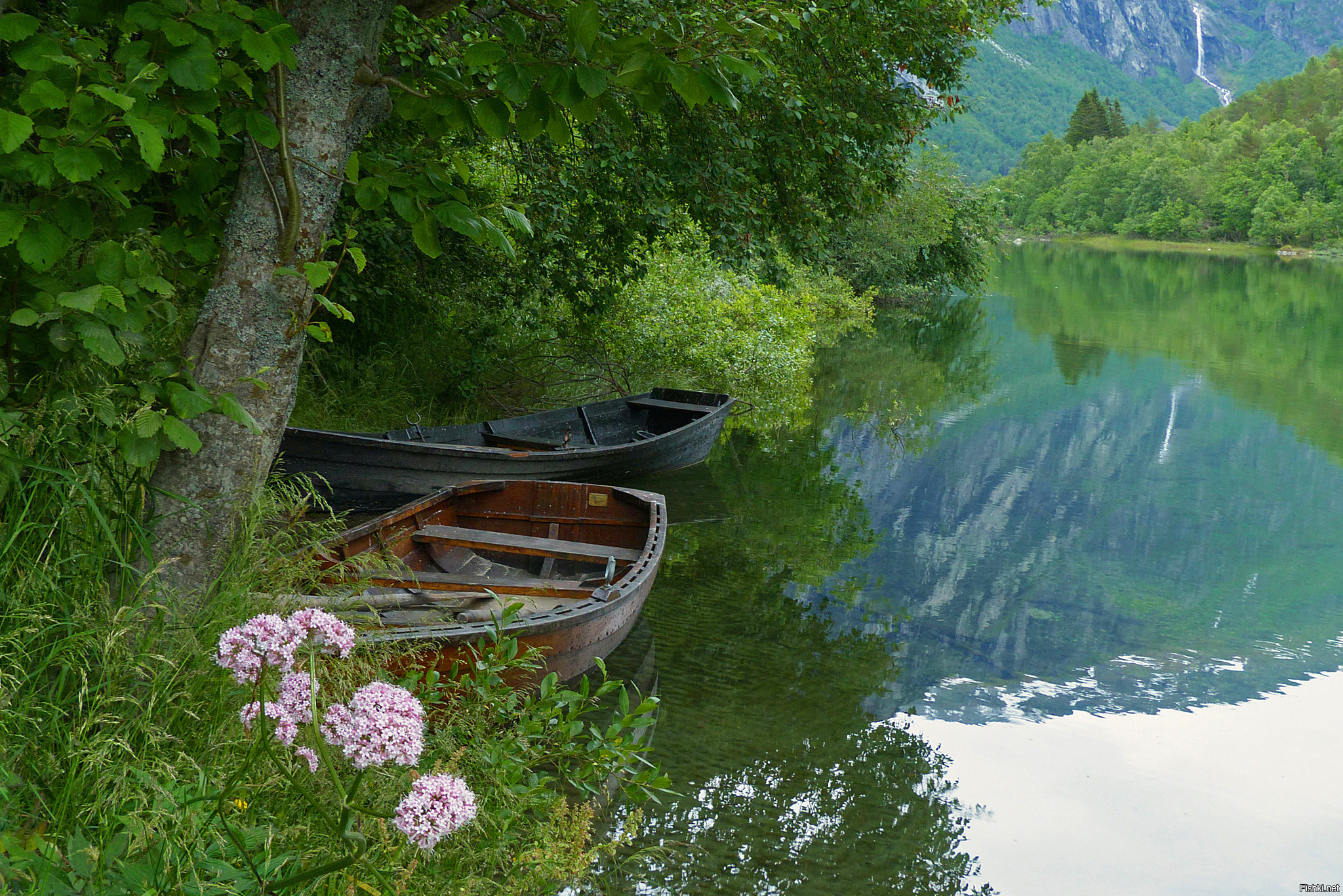 И тихая прозрачная вода. Красивый берег озера. Лодка на берегу реки. Лодка на озере. Лето река лодка.