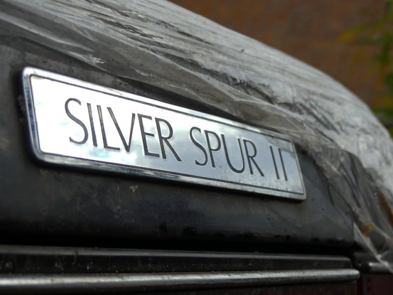 Модель Silver Spur выпускалась с 1980 по 1998 годы и насчитывала 4 поколения. Мне выпал шанс увидеть Silver Spur II, выпускавшийся с 1990 по 1993 годы. Машин второго поколения было изготовлено 1658 штук.