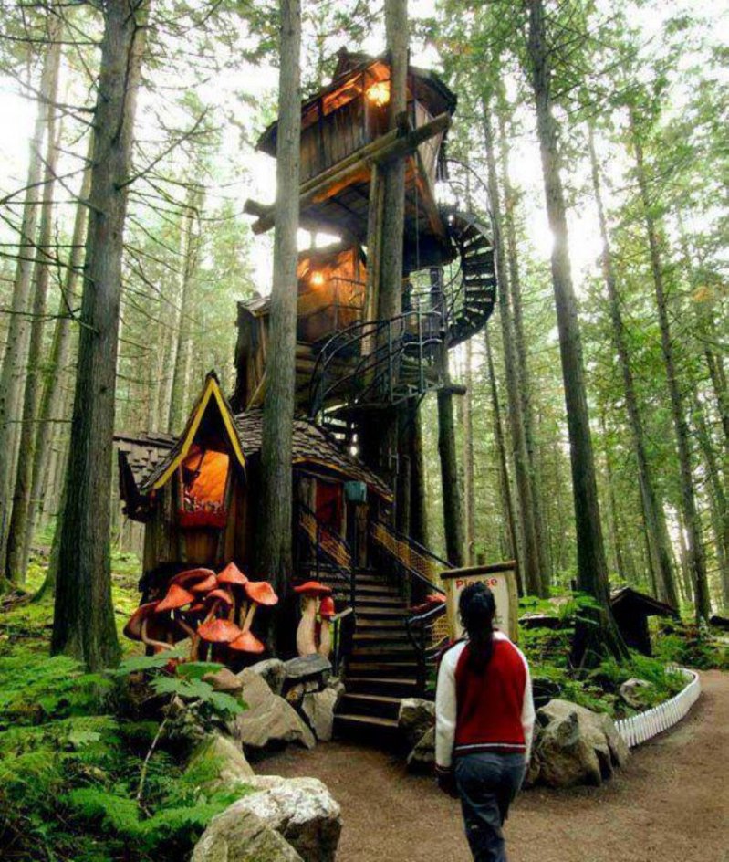 Развлечение сказочный лес. Дом на дереве (Британская Колумбия, Канада). Хижина гномов, Британская Колумбия. Домик на дереве. Дом на дереве в лесу.