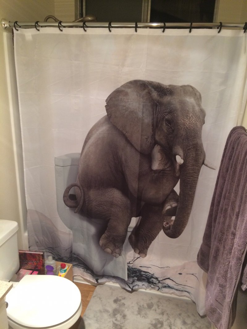 Слон на туалете 