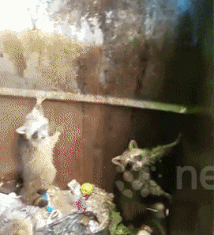 Спасите, помогите!