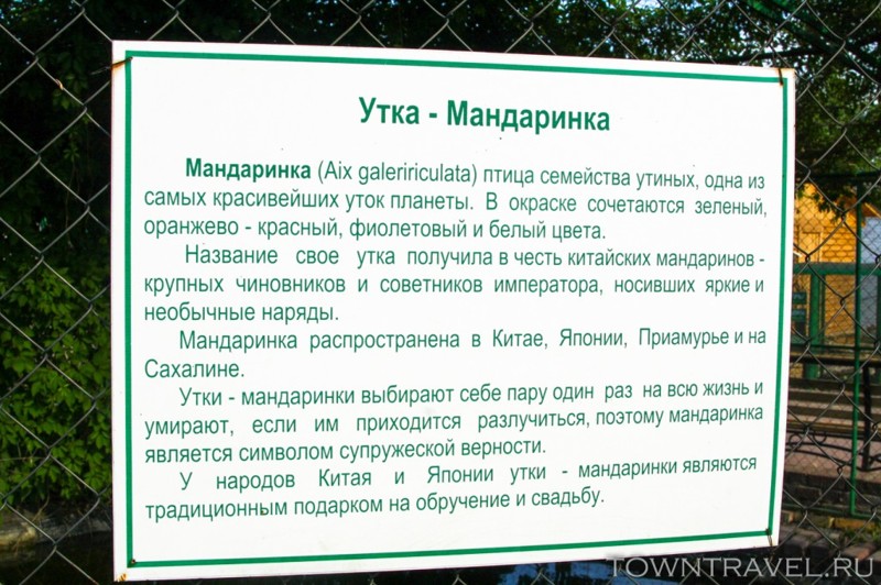 Используемые языки  Муром: Если повезет, то кое-где смогут изъясниться на английском. В городе надписи только на русском языке.