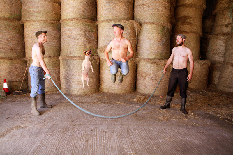 Веселый календарь от ирландских фермеров