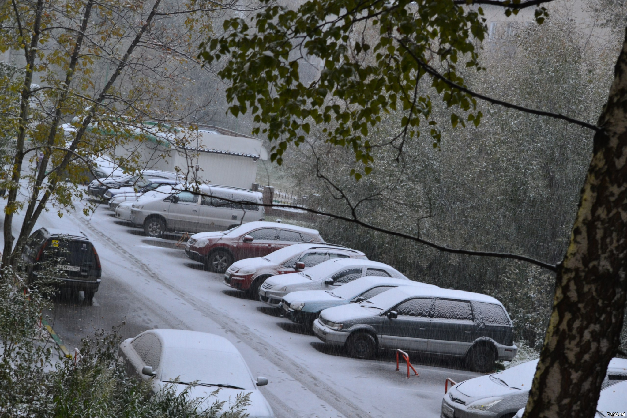 Сочи снегопад сегодня. Где лежит снег сегодня. Чита снег сегодня. Екатеринбург сегодня фото снегопад.