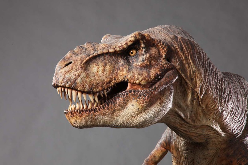 Динозавры были тупыми созданиями с крошечным мозгом.