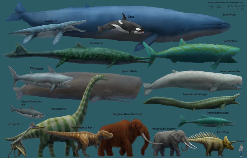 Динозавры были самыми большими созданиями из когда-либо существовавших на земле