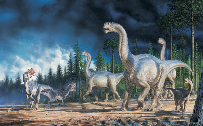 Все динозавры жили в тропиках