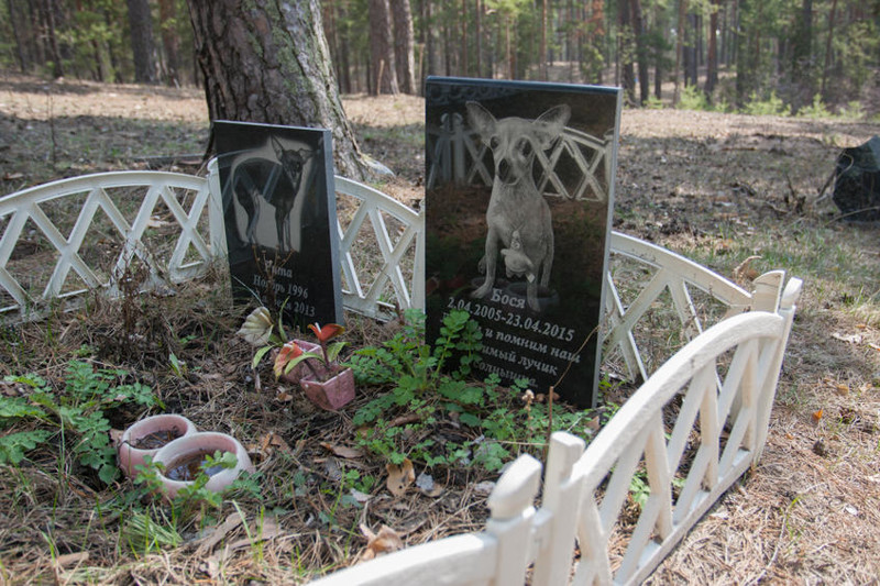 Барнаульское кладбище домашних животных