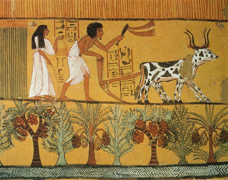 Древнеегипетская мифология — Поля Иалу