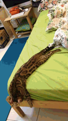 А что вы знаете о полном релаксе?