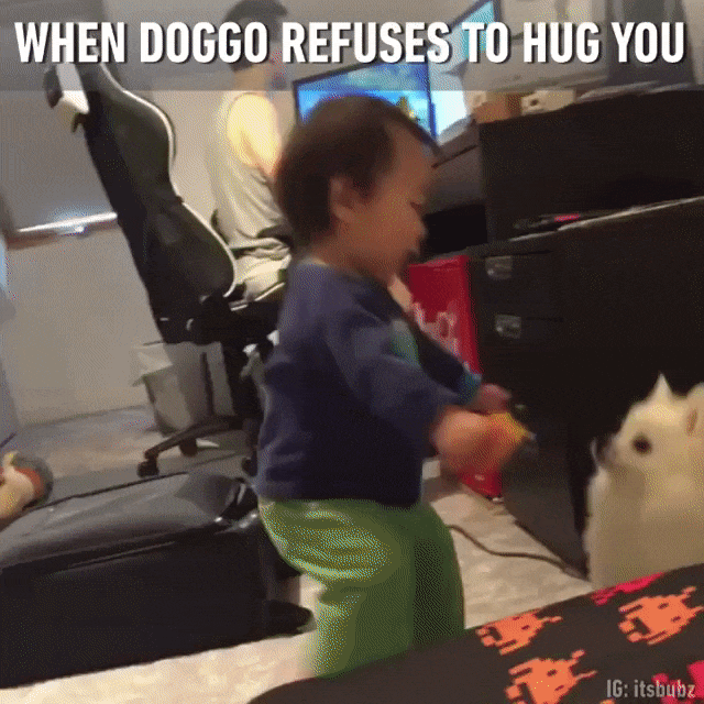 Собака не захотела обниматься с малышом