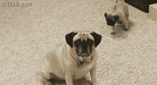 Подкрался незаметно