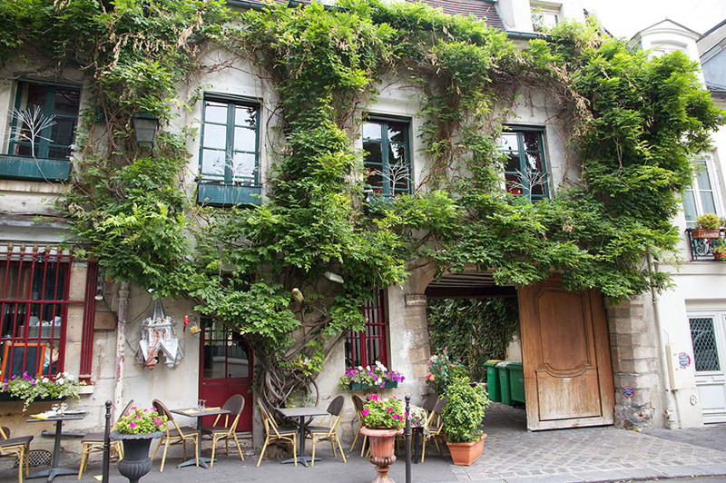 В Париже вступил в силу новый закон, поддерживающий городских садоводов