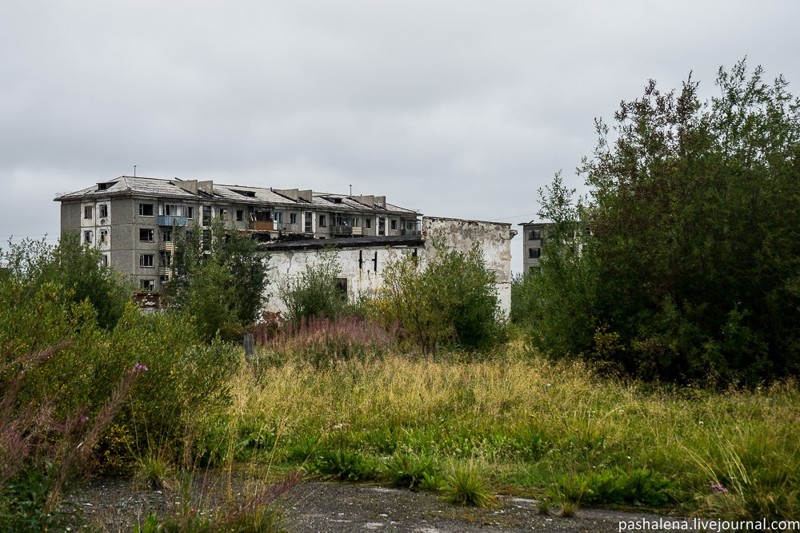 Дворы потихоньку зарастают. Кое-где даже на Чернобыль похоже.