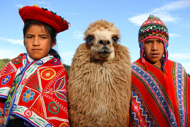 Дети позируют со своей ламой в Куско, Перу