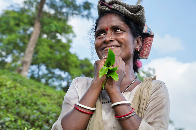 Женщина из Шримангала, Бангладеш