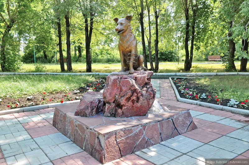 Памятники центре. Памятник Илизарову в Кургане. Памятник собаке Илизарова Курган. Памятник собаке в Кургане. Памятник собаке Илизарова.