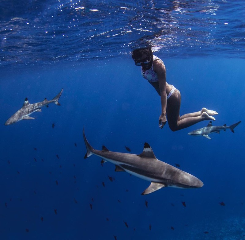 Прекрасная островитянка купается обнаженной в компании акул и скатов
