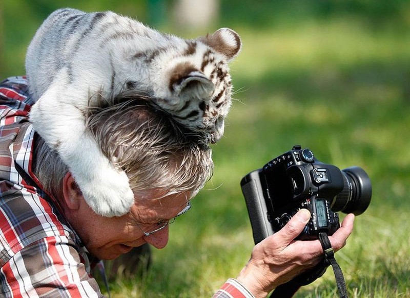 9 доказательств того, что фотограф-натуралист – лучшая работа на свет