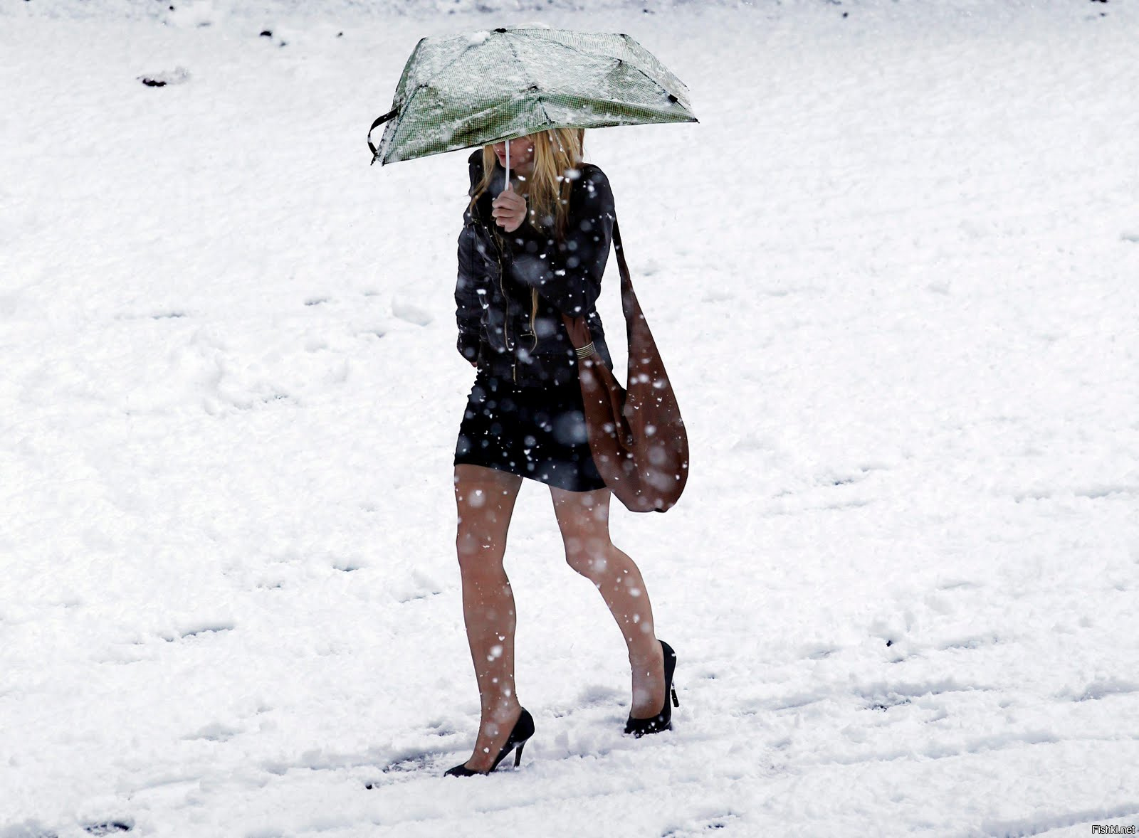 Снег смешная картинка. Зимой в летней одежде. Замерзшая девушка. Легко одетые девушки в Мороз. Холодное дождливое лето.
