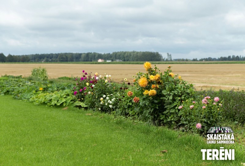 Самое красивое крестьянское хозяйство Латвии находится на границе с Россией