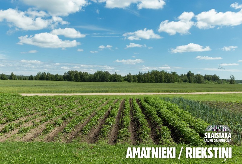 Самое красивое крестьянское хозяйство Латвии находится на границе с Россией