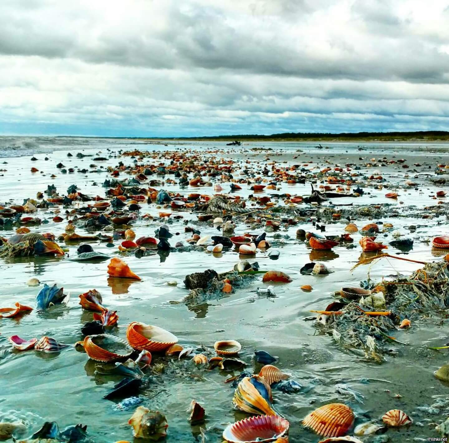 Отлив воды в океане