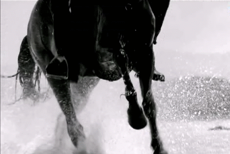 Гонит всадник. Лошади в снегу. Мужчина на лошади. Лошади гифки. Черный всадник.