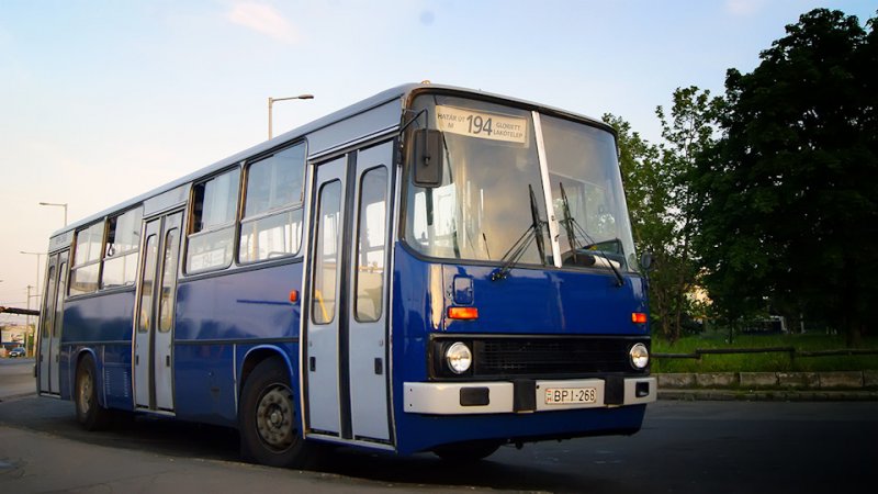 Основу парка одиночных автобусов продолжает составлять классический Ikarus-260. Правда, здесь все машины ещё с завода оснащены автоматическими коробками передач — производства ZF, Praga и Voith.