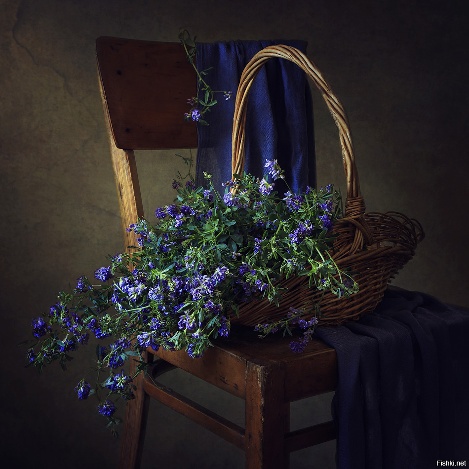 девочка с цветами. девушка с цветами. девушка с цветами. остеоспермум. пейзаж незабудки.