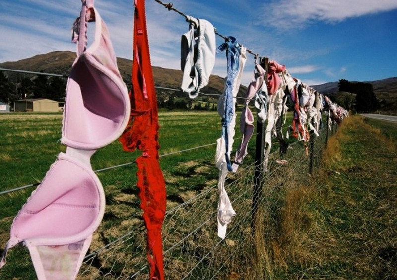 2. Бюстгальтеровый забор в Кардроне (Cardrona Bra Fence).