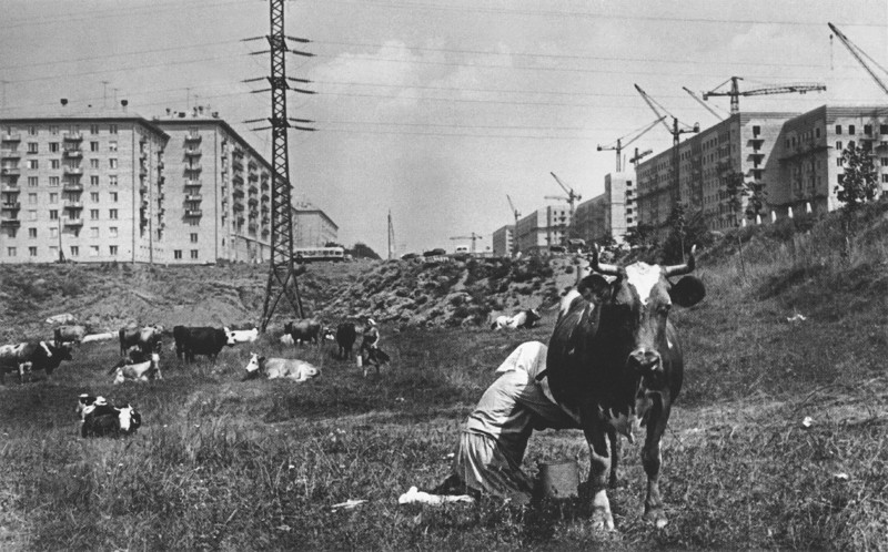 5.	На Ленинском проспекте. 1959г