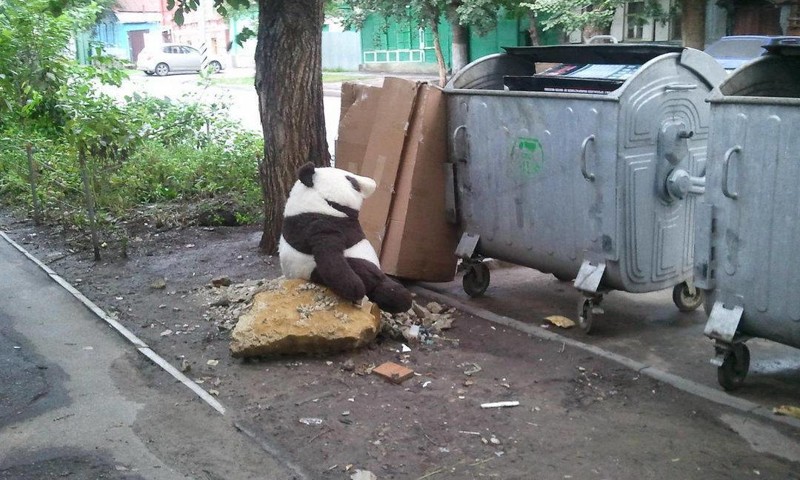 Саратов 2012 год. Панда смотрит на мусор