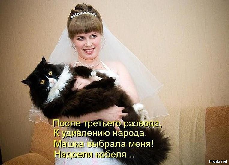 Таня хозяйка кота мурзика. Кот и хозяйка. Вышла замуж за кота. Кошка жена. Женщина и кот картинки смешные.