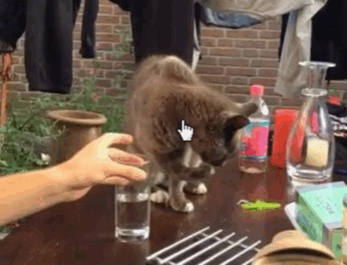 Немного гифок и фоток для позитива