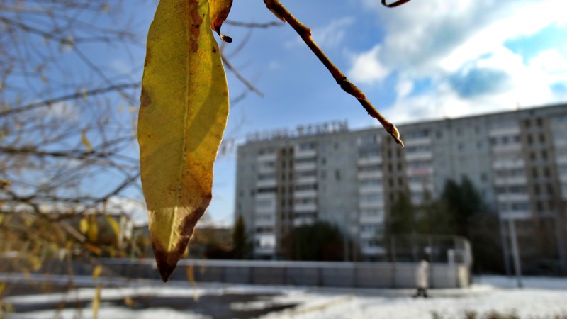 Осень в Красноярске 2016
