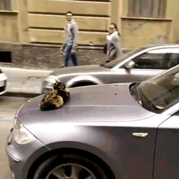 Когда не хочется уходить с насиженного места