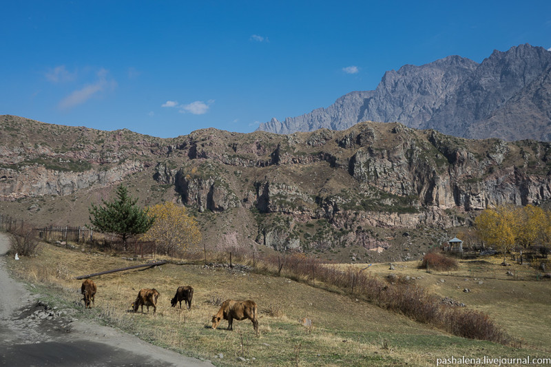 Казбеги — центр горного туризма у границы с Россией