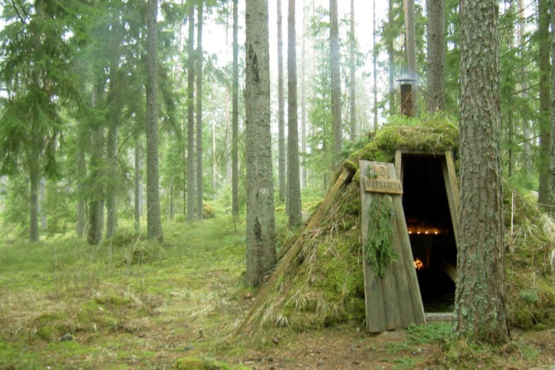 Отель в лесу в Швеции 
