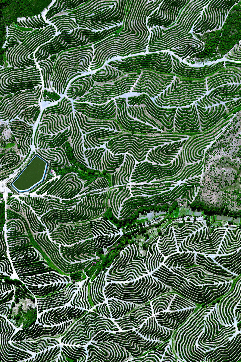 13. Фруктовые сады, Уэльва, Испания фото со спутника, фотограф Бенджамин Грант, фотографии