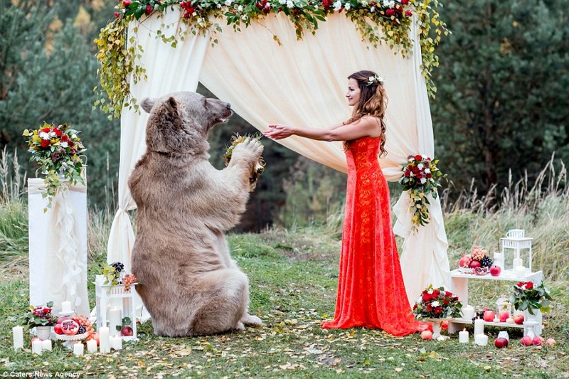 Свадьба по-русски: медведь благословляет жениха и невесту 