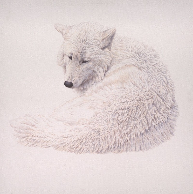 Полярный волк – один из любимых объектов искусства. Спасибо за внимание и удачи 8)