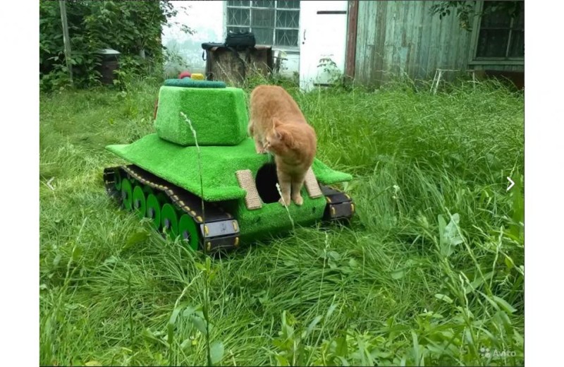 Новосибирец сделал 50-килограммовый танк для кота