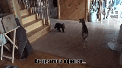 Немного гифок Немного гифок