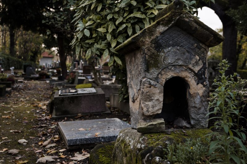 Кладбище собак во Франции