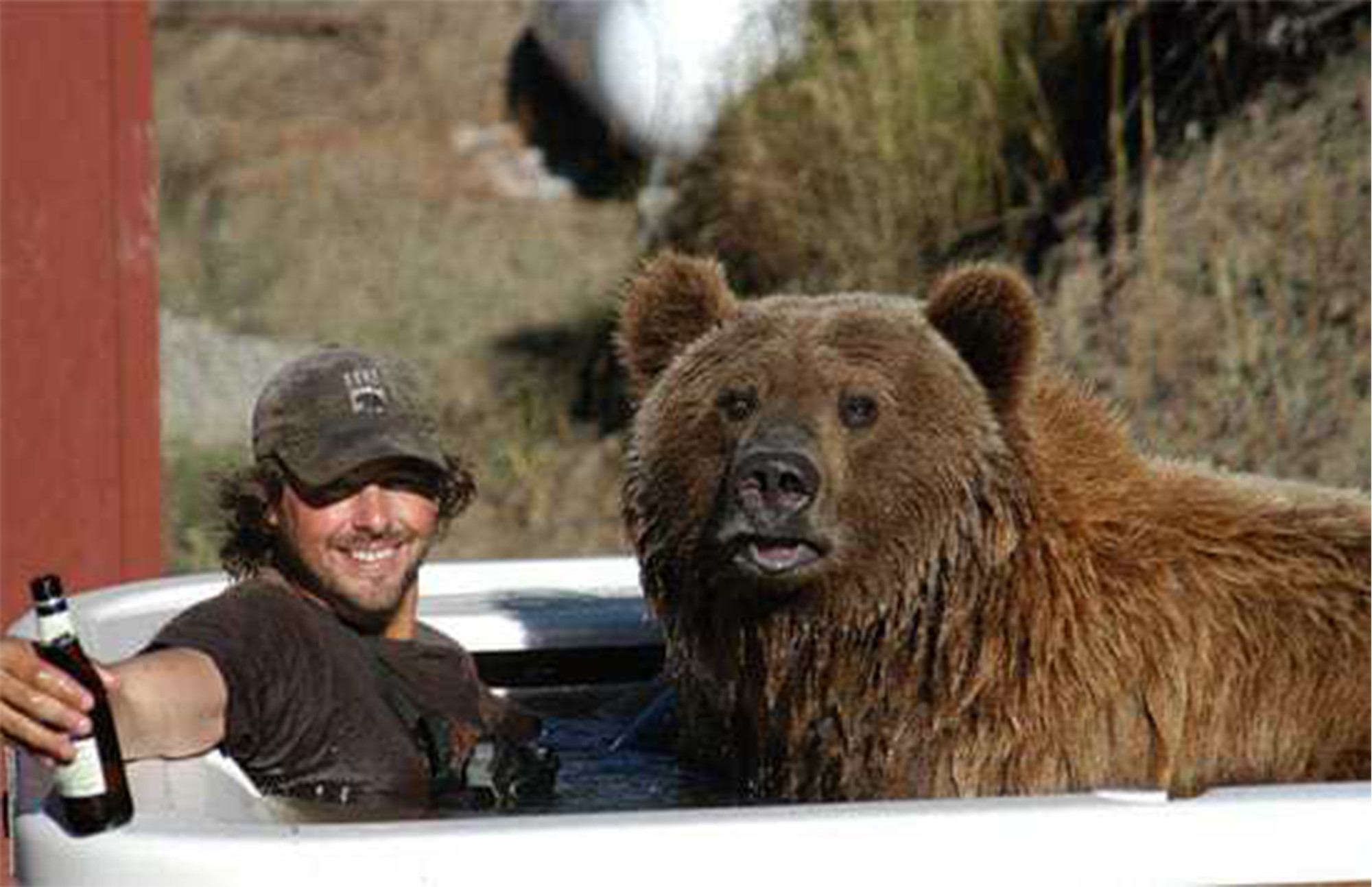 Почему маша дружит с медведем. Кейси Андерсон и медведь Гризли брут. Кейси Андерсон. Медведь Гризли и человек Дружба. Кейси и медведь Гризли.