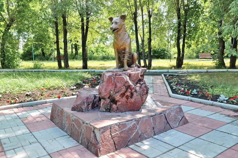 Памятник подопытным животным. Аппараты Илизарова