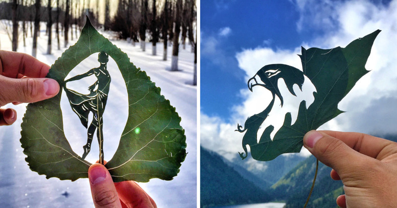 Художник создает невероятные картины из листьев